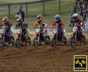 Florida MOTO News Race PHOTOS - 2014 FL/GA Fall Championship, RD #4 - Motocross of Marion County (Reddick)