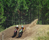 Florida Moto News - #379 Wasco motocross roost pic.
